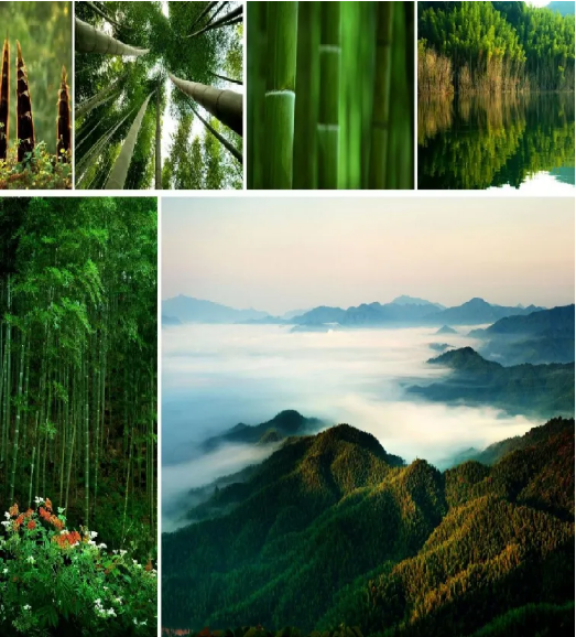 集團(tuán)全力助推江西撫州資溪縣委托招商引資，加速創(chuàng)建生態(tài)旅游強(qiáng)縣