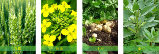 【甘南政府招商推介】立足生態(tài)優(yōu)勢，推動綠色發(fā)展，打造青藏高原上的生態(tài)文明高地