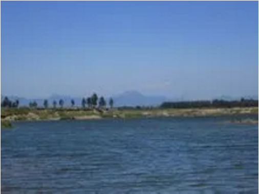 東方龍商務(wù)集團(tuán)助力河北高邑縣委托招商引資，以“新經(jīng)濟(jì)”撬動(dòng)“新引擎”