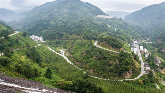 集團全力助推甘肅隴南武都區(qū)委托招商引資，將地域資源優(yōu)勢轉(zhuǎn)化為經(jīng)濟發(fā)展新動能