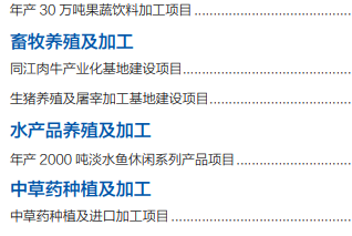 集團全力助推黑龍江省同江市委托招商引資，充分挖掘開發(fā)潛能，再次綻放邊陲魅力