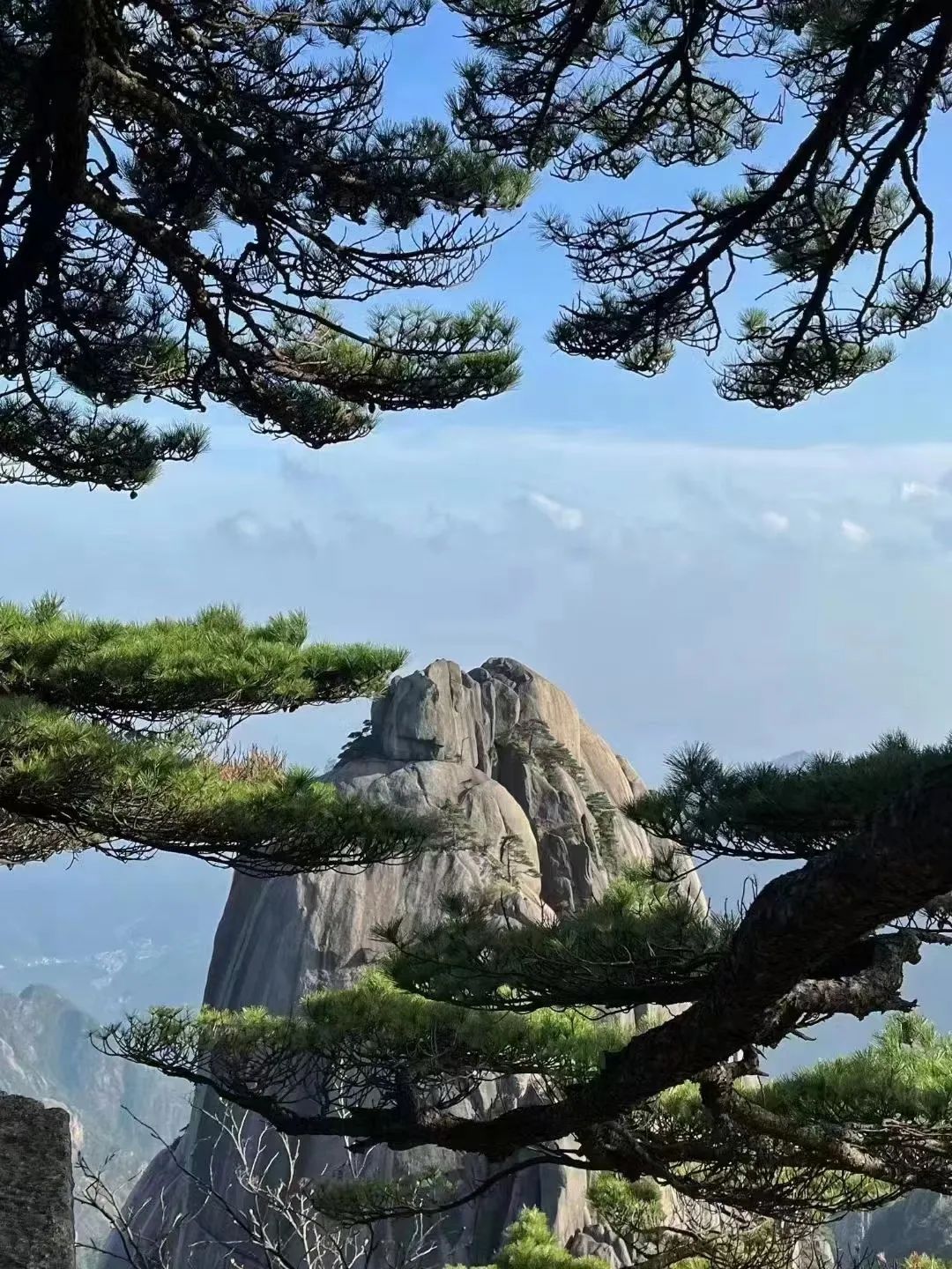 東方龍商務(wù)與春天有個約會！集團(tuán)100余人赴安徽黃山“團(tuán)建”，太嗨了！“奔跑二季度”——我們準(zhǔn)備好了！
